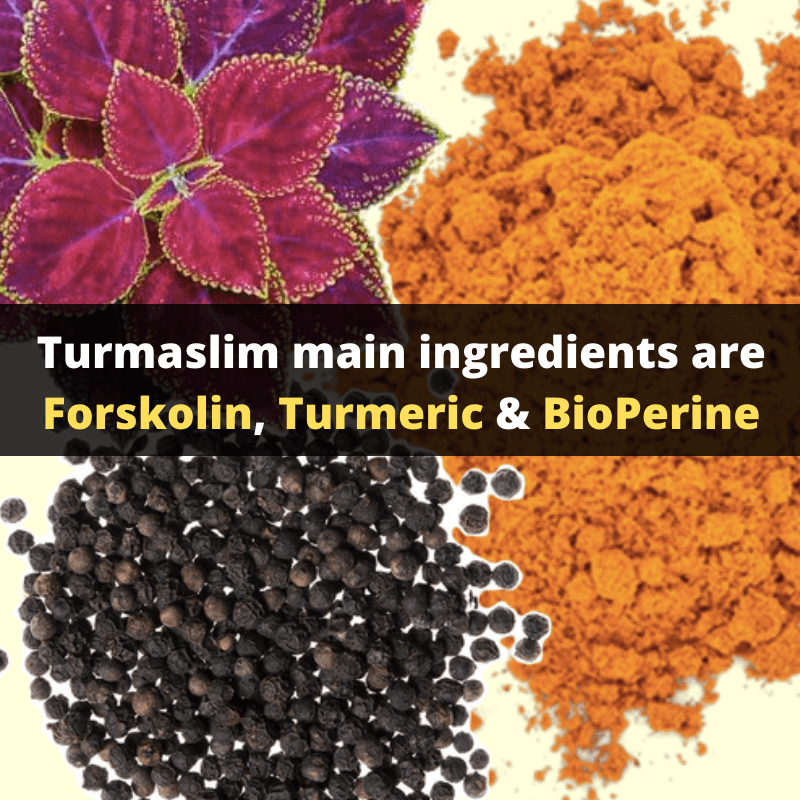turmaslim pills ingredients - complete natural